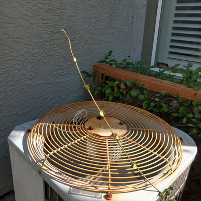 Common AC Problems in the Summer Heat-blitzimage4.jpg