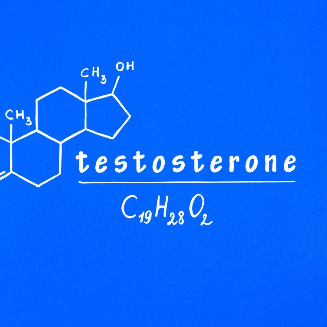 The Role of Testosterone 1.jpg