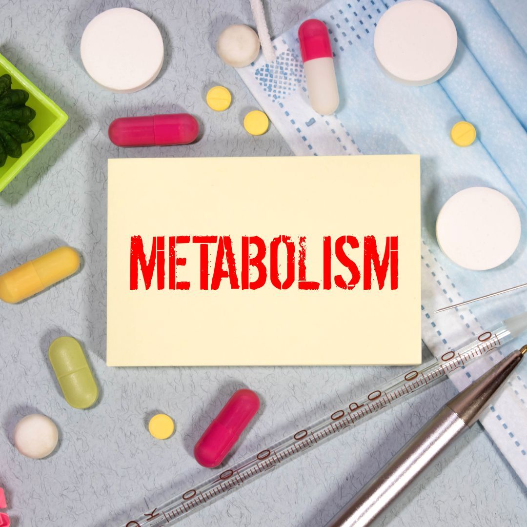 Metabolism.