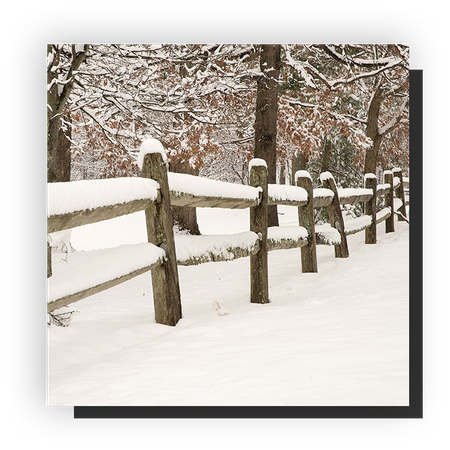 Split Rail Image.png