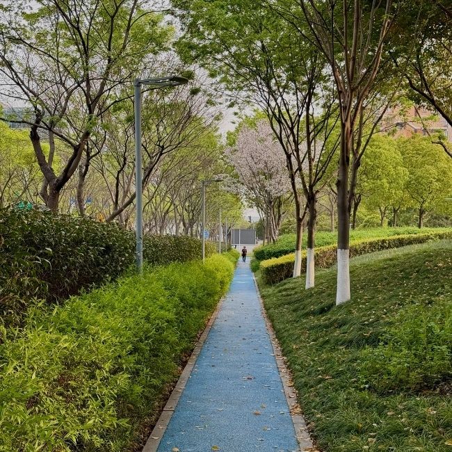 Landscaping.jpg