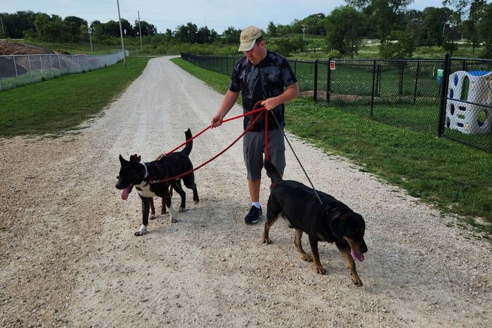 Special Need Adult Client walking dogs