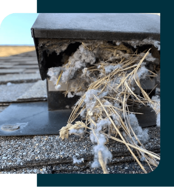 Residential Image 2.png