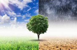 Screenshot 2025-12-03 155142.png