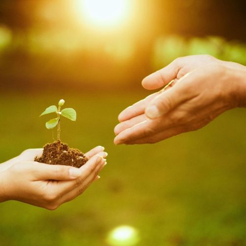 Chaos and Control4.jpg