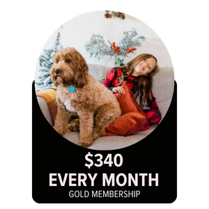 Gold Membership -$340