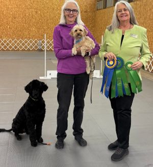 Trip - Susan - Poppy