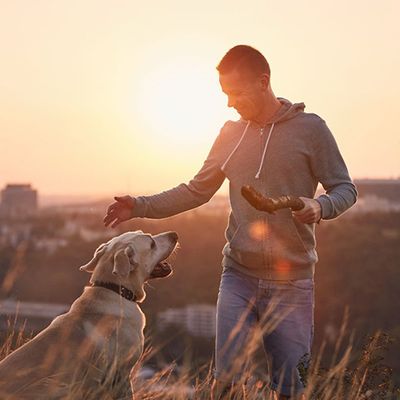 Man playing with dog
