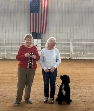 Karen & Otter New CDX