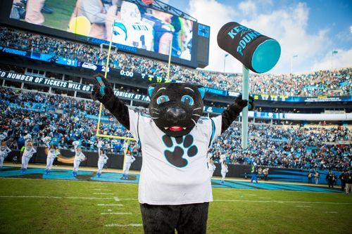 Purr-Photo-courtesy-of-Carolina-Panthers.jpg