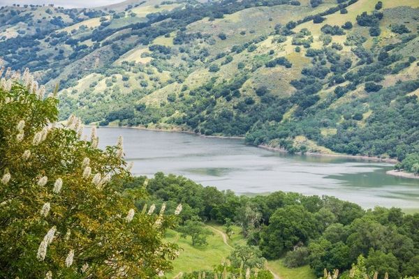 landscape view of lake in California