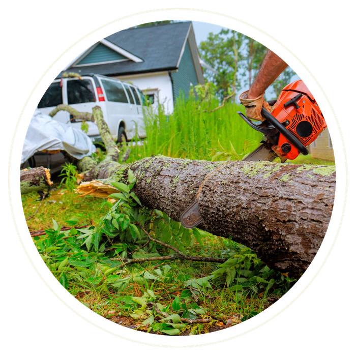 Orange County - Image 1.png