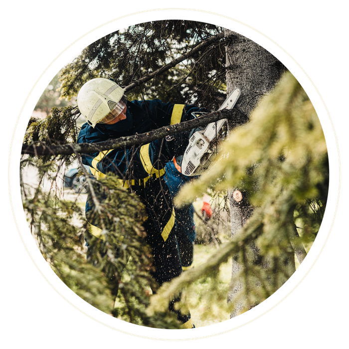 Moss Park - Image 3.png