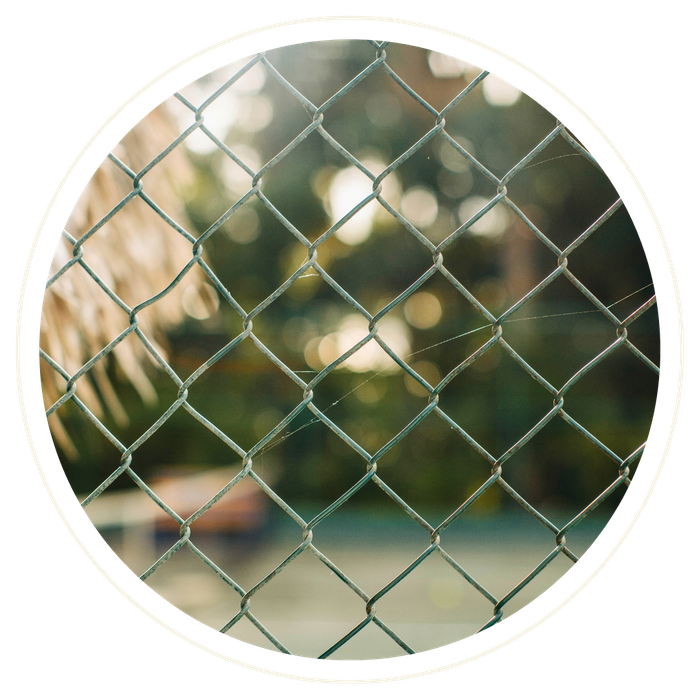 Lake County - Image 3.png