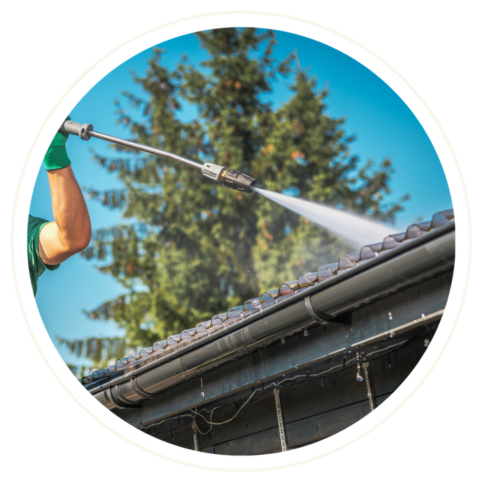 Chuluota - Image 4.png