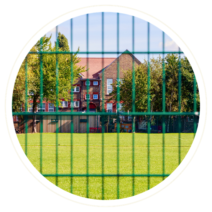 Alaqua - Image 3.png