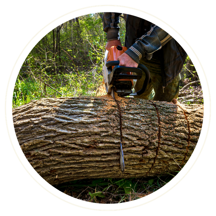 Buenaventura Lakes - Image 2.png