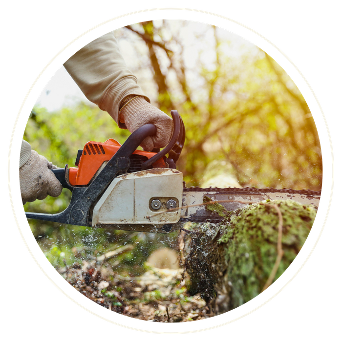 Clermont - Image 2.png