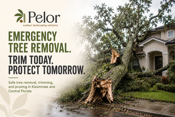 emergency tree trimming kissimmee fl