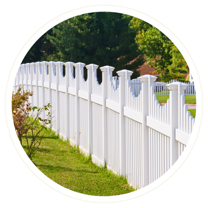 Oviedo - Image 3.png