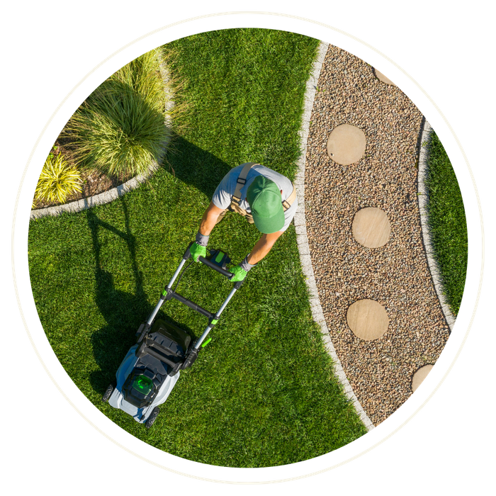 Moss Park - Image 1.png
