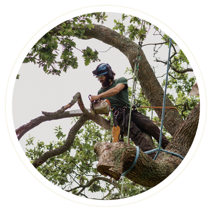 Wekiwa Springs - Image 2.png