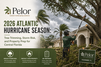 2026 hurricane season tree trimming guide
