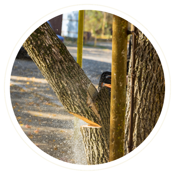 Melbourne - Image 2.png