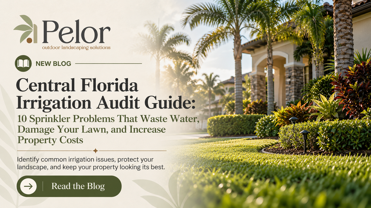 Central Florida irrigation system inspection on a lawn in Kissimmee Florida
