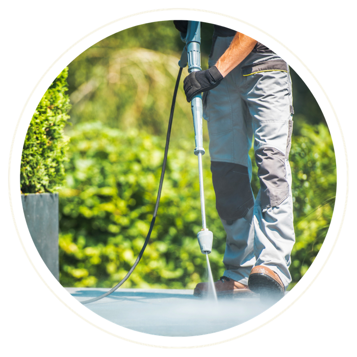 Minneola - Image 4.png