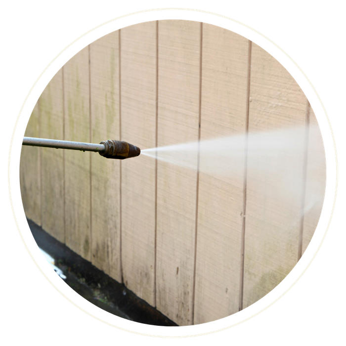 Brevard County - Image 4.png