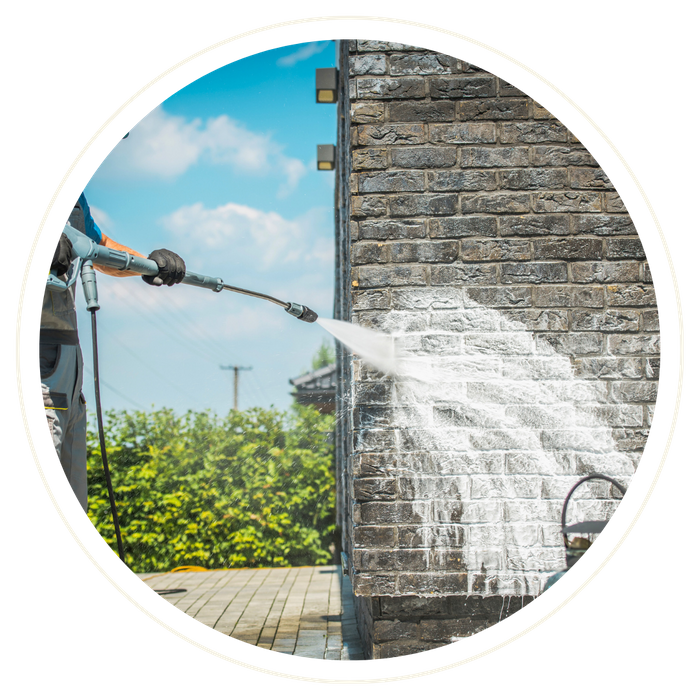 Alaqua - Image 4.png