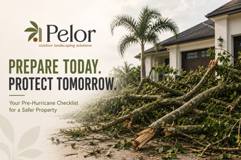 hurricane checklist.png