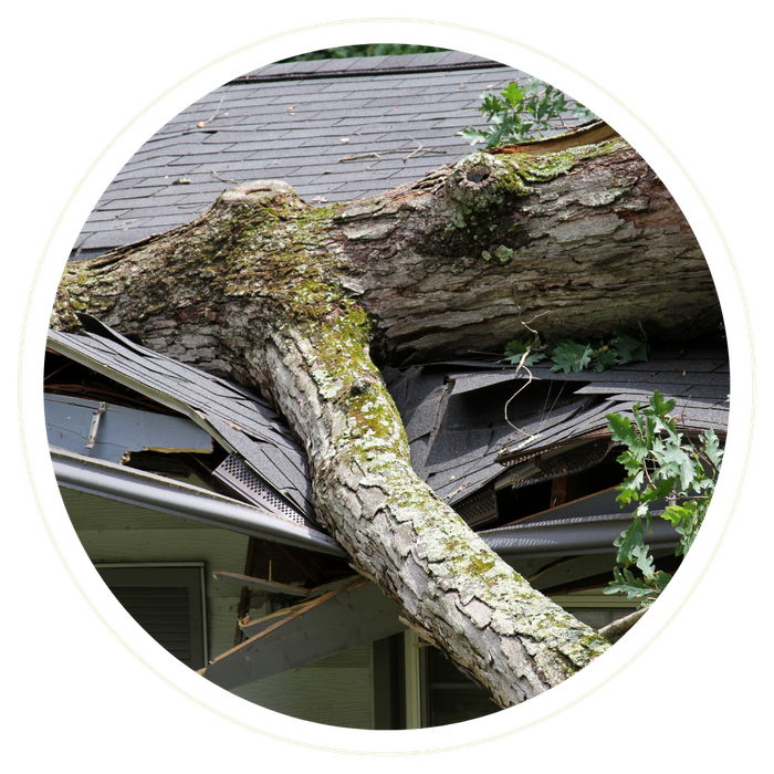 Belle Isle - Image 4.png