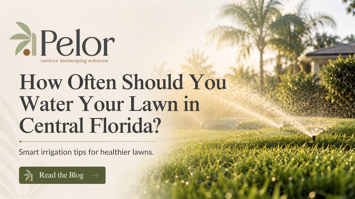 How Often Should You Water Your Lawn in Central Florida?