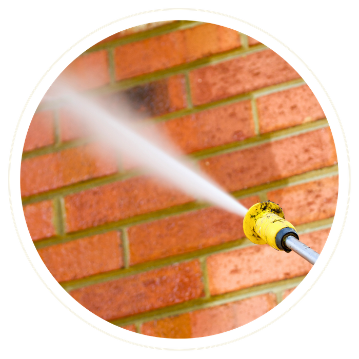 Tavares - Image 4.png