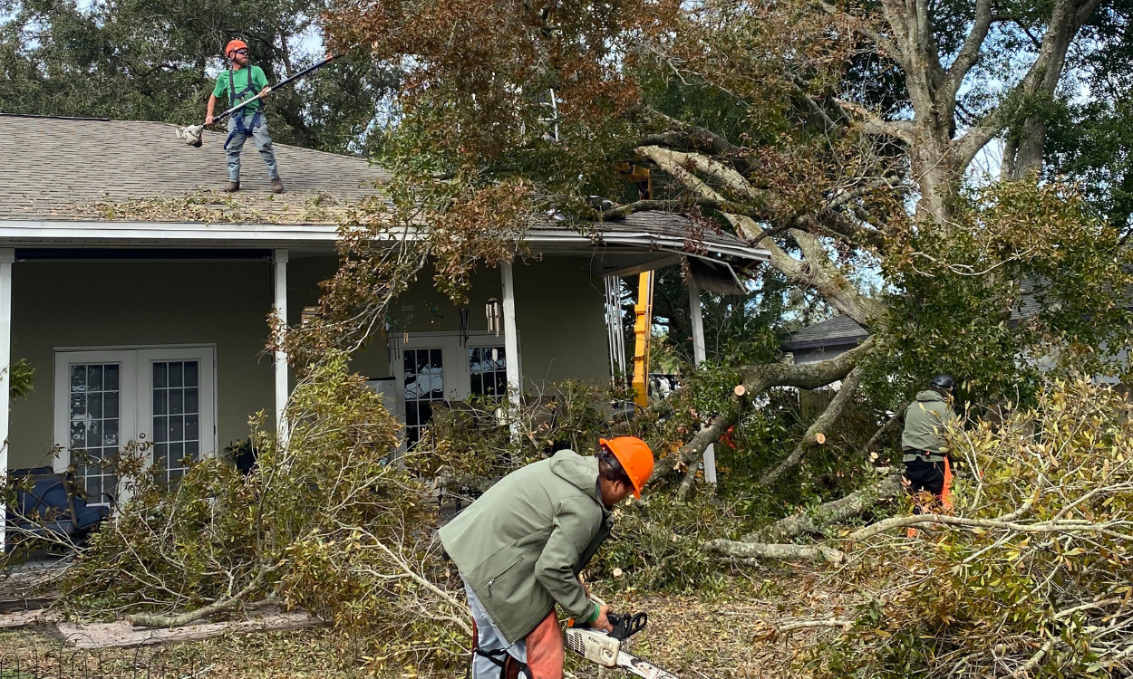 tree trimming, post storm damage - central florida