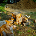 Stump 4.png