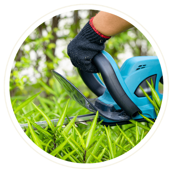 tree trimming