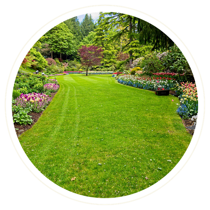 Belle Isle - Image 1.png