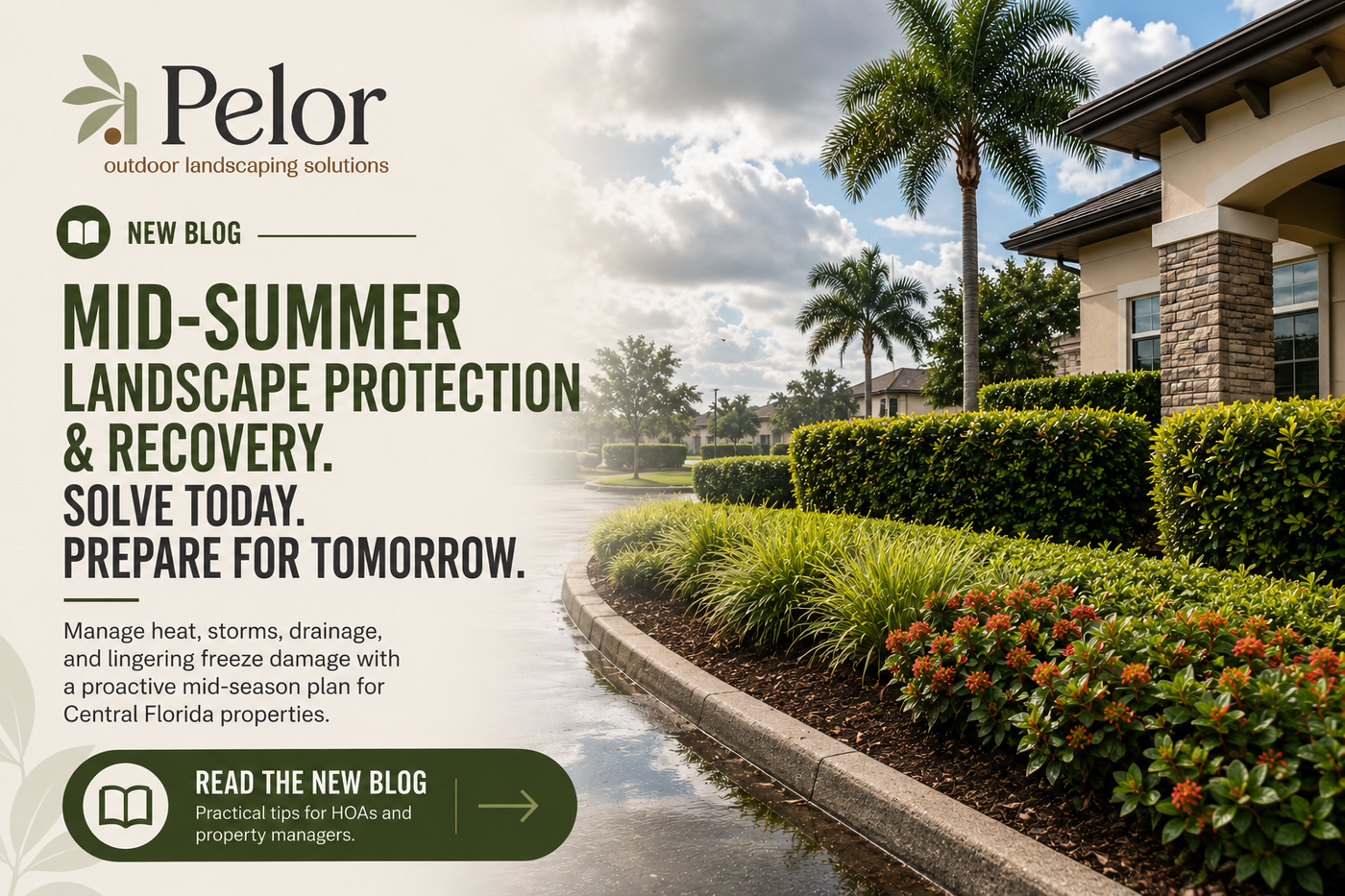 Mid-Summer Commercial Landscape Protection & Recovery in central florida blog post