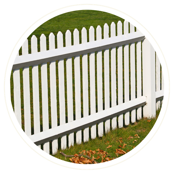 Mount Dora - Image 3.png