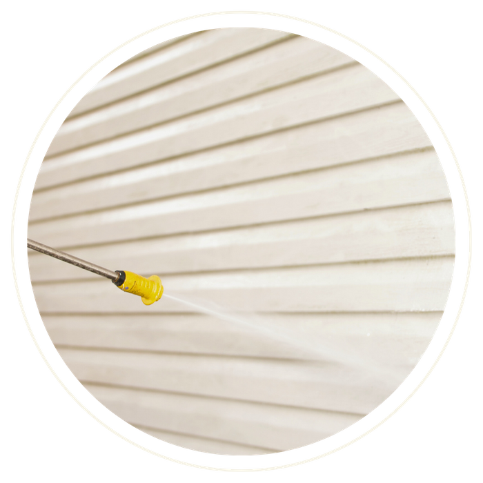 Mount Dora - Image 4.png