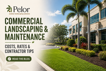 commercial landscape maintenance Kissimmee FL