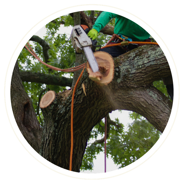 Altamonte Springs - Image 2.png