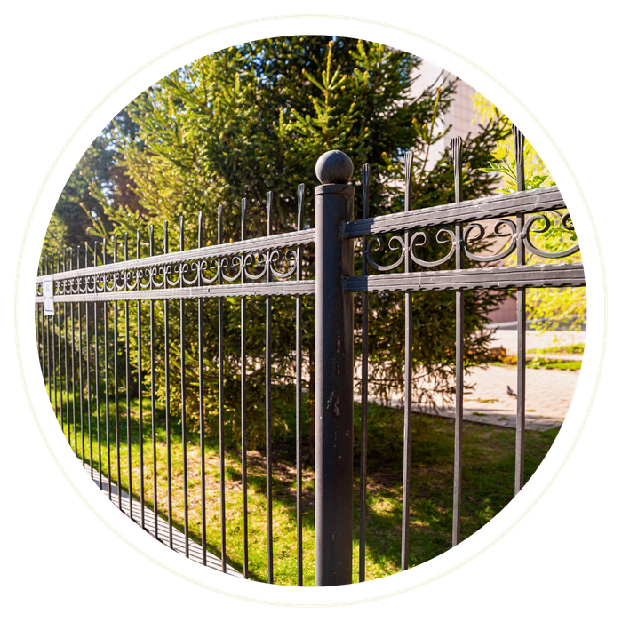 Tavares - Image 3.png