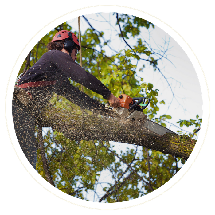 Lake Mary - Image 2.png