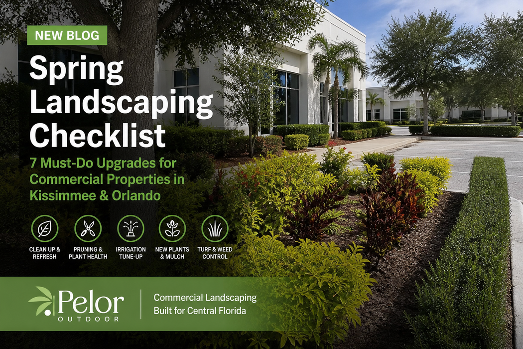 spring landscaping checklist - central florida - kissimmee