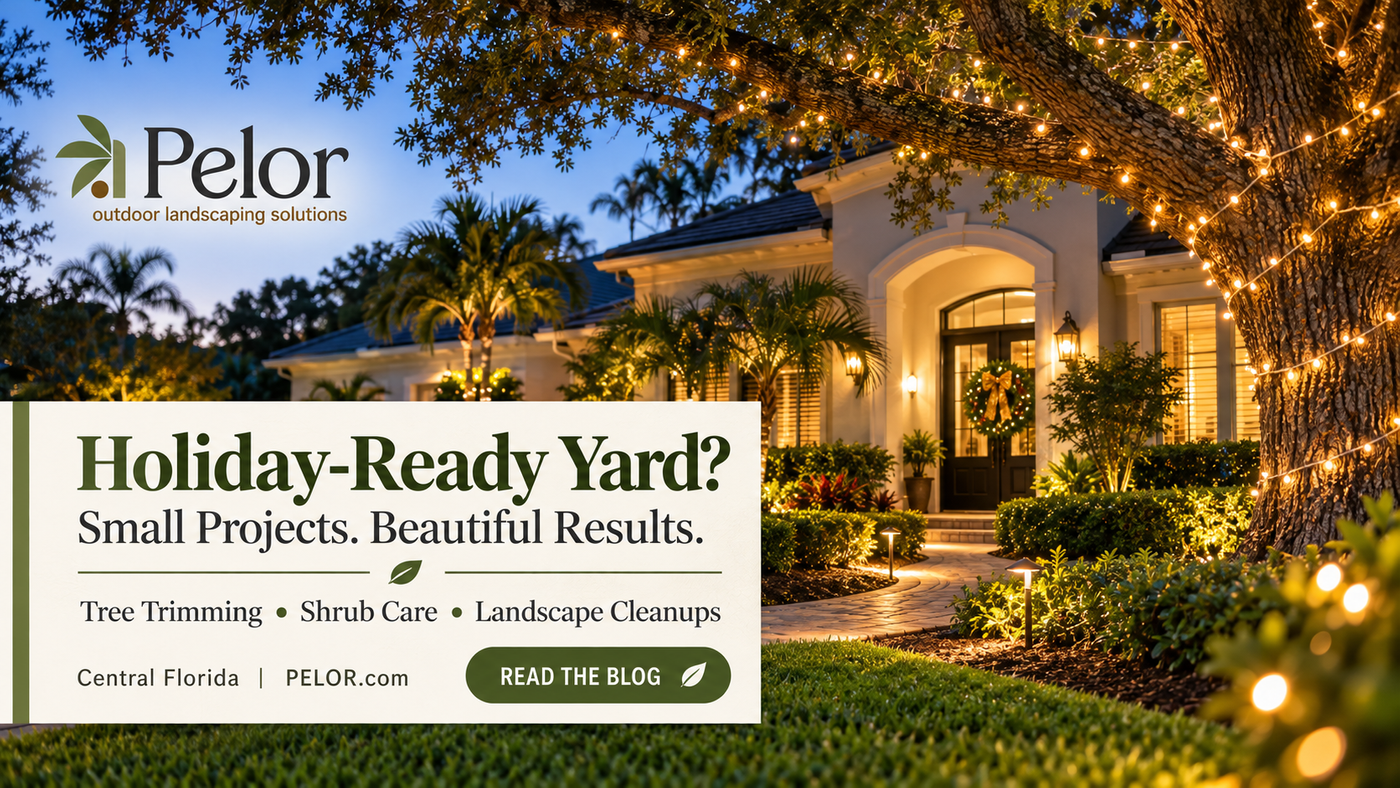 Small Landscaping Projects That Improve Curb Appeal including getting holiday-ready