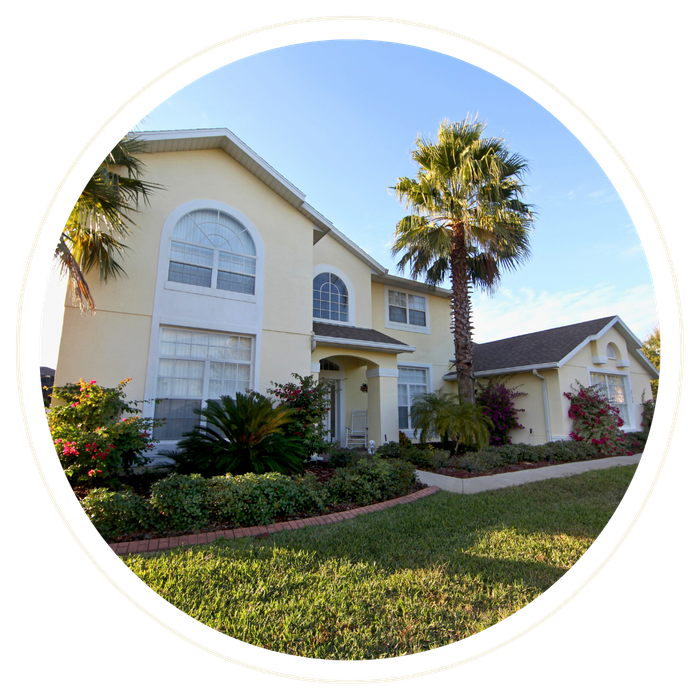 Minneola - Image 1.png